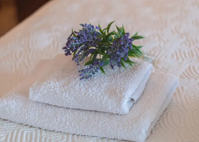 Themis House Casa rural